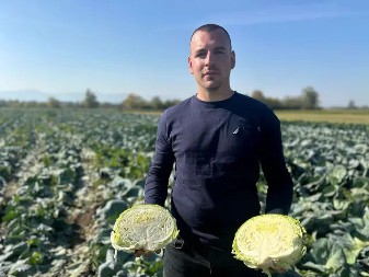 Kako da prepoznate glavicu kupusa koja je puna hemije: Ako ovo primetite na listovima, ne kupujte