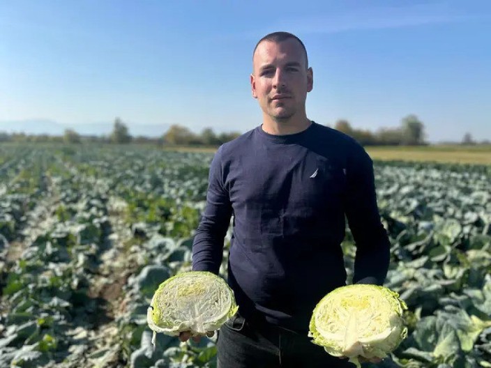 Kako da prepoznate glavicu kupusa koja je puna hemije: Ako ovo primetite na listovima, ne kupujte