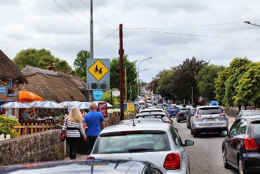 Ovo ima samo kod nas! Žena napravila zastoj na putu, a razlog je većinu ljudi nasmejao do suza!