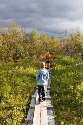 Srbin u Švedskoj proživljava horor: Sve je počelo zbog reči koje je dete izgovorilo u vrtiću