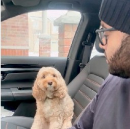 Vlasnik pitao psa da li ga voli: Dirljiva reakcija ljubimca, osvojila je srca 4 miliona ljudi!