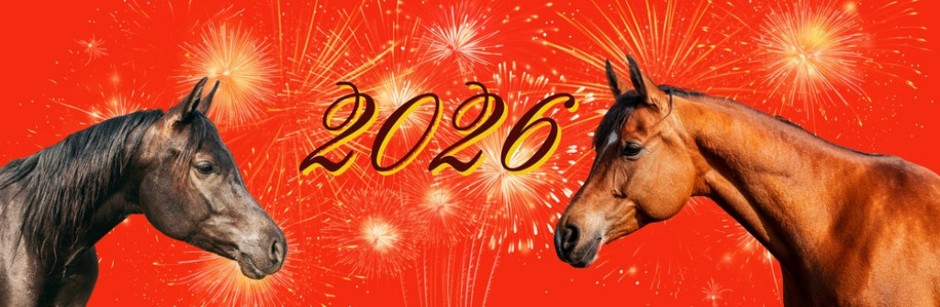 Kineski horoskop za 2026. donosi veliku prekretnicu: Crveni vatreni Konj menja pravila igre – evo šta vas očekuje