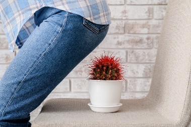 Jedna slavska namirnica rešava probleme sa hemoriodima i ne samo to... Uzmite samo 100 grama ovoga i stomak će vam biti zahvalan